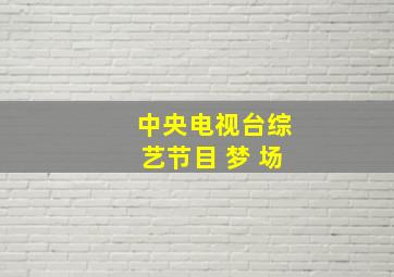 中央电视台综艺节目 梦 场